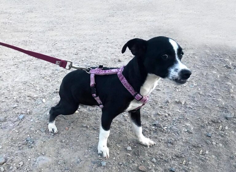 multimedia-foto44745-804-3