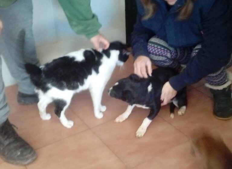 multimedia-foto44747-826-3