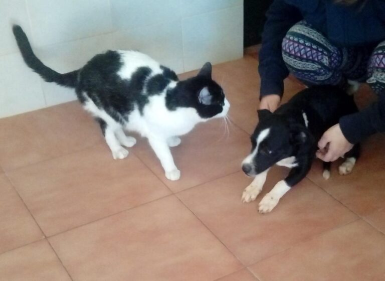 multimedia-foto44748-827-3