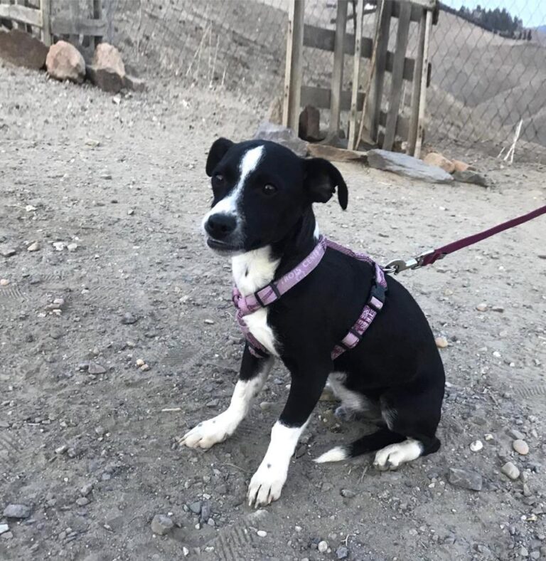 multimedia-foto44749-828-3