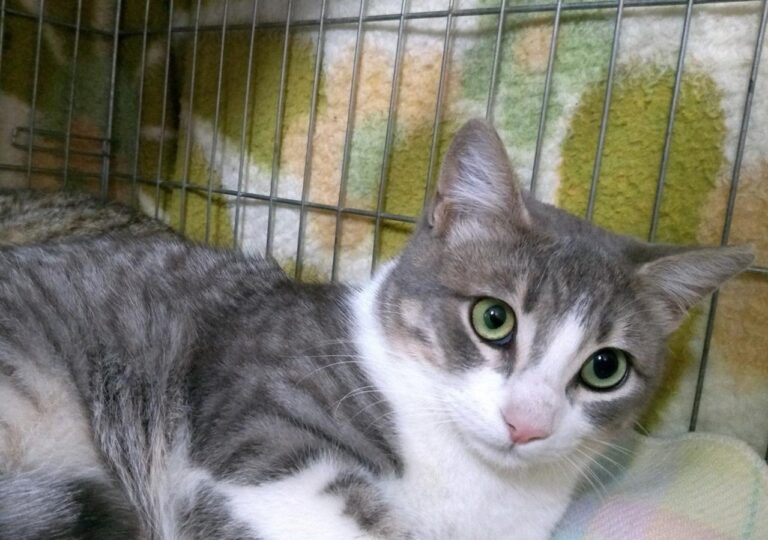 multimedia-foto44750-914-3