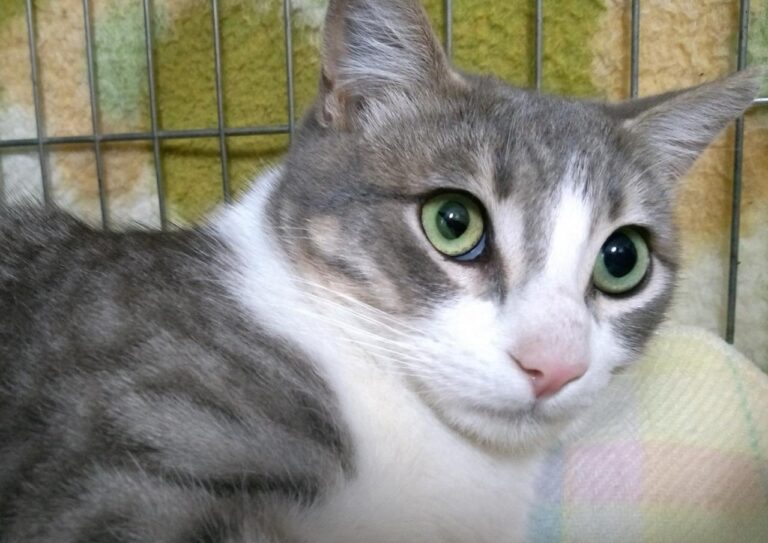 multimedia-foto44751-915-3