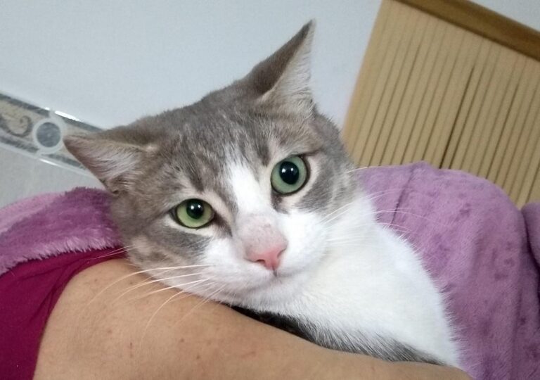 multimedia-foto44753-916-3