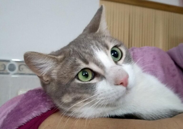 multimedia-foto44756-963-3