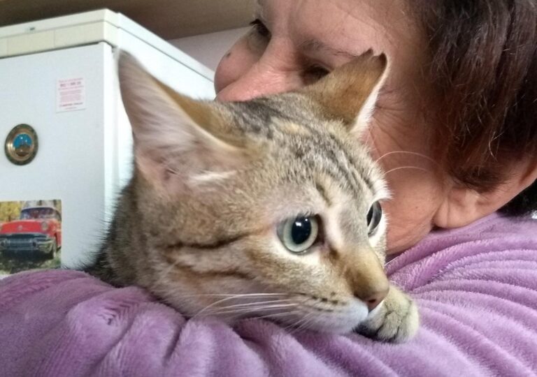 multimedia-foto44764-61-3