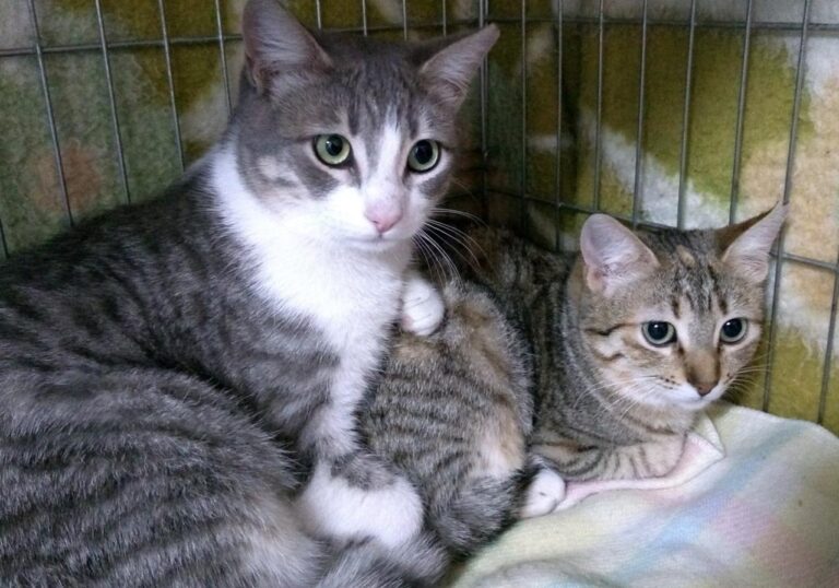 multimedia-foto44770-122-3