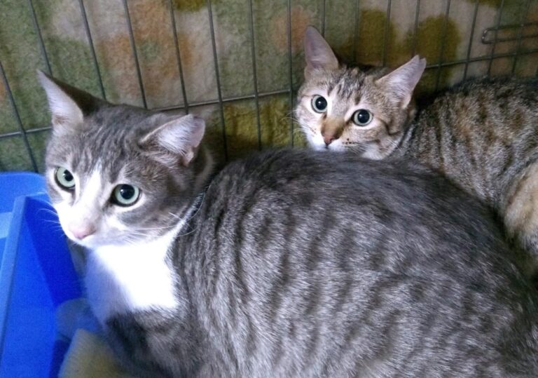 multimedia-foto44772-123-3