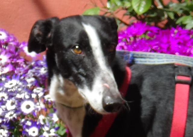 multimedia-foto44794-888-3