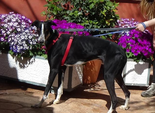 multimedia-foto44795-889-3