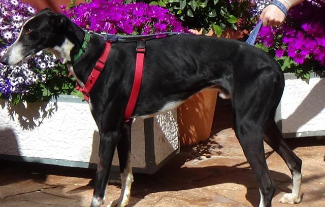 multimedia-foto44796-889-3