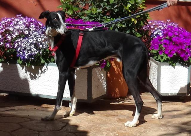 multimedia-foto44797-890-3