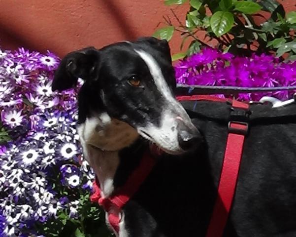 multimedia-foto44798-906-3