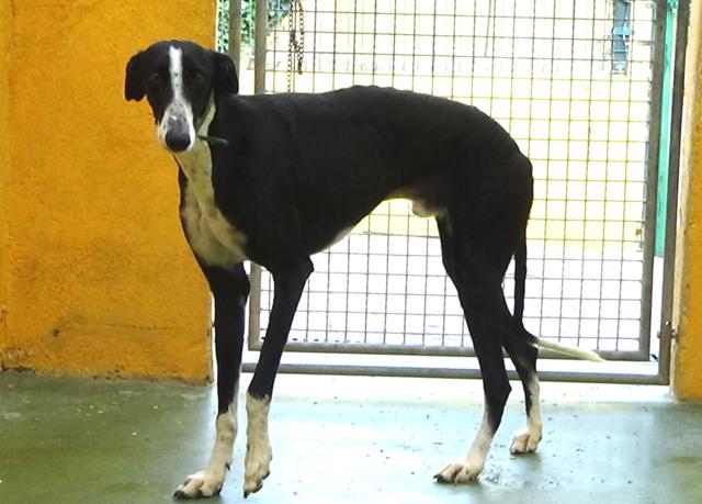 multimedia-foto44799-918-3