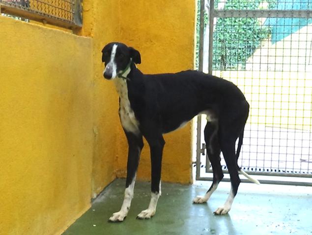 multimedia-foto44800-918-3