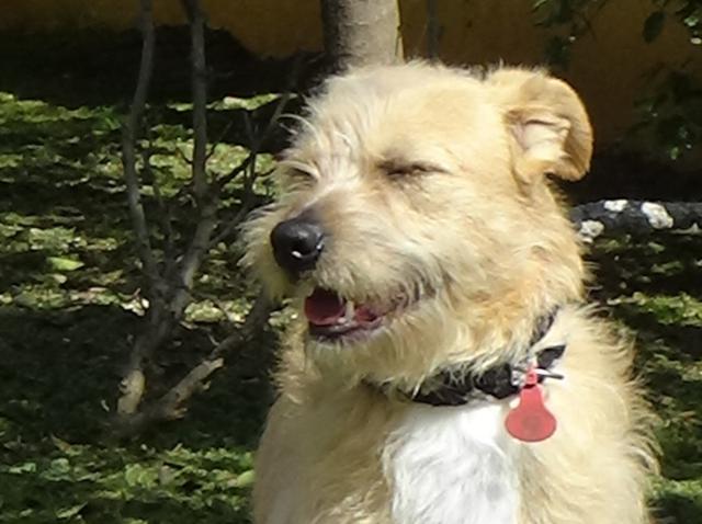 multimedia-foto44801-134-3