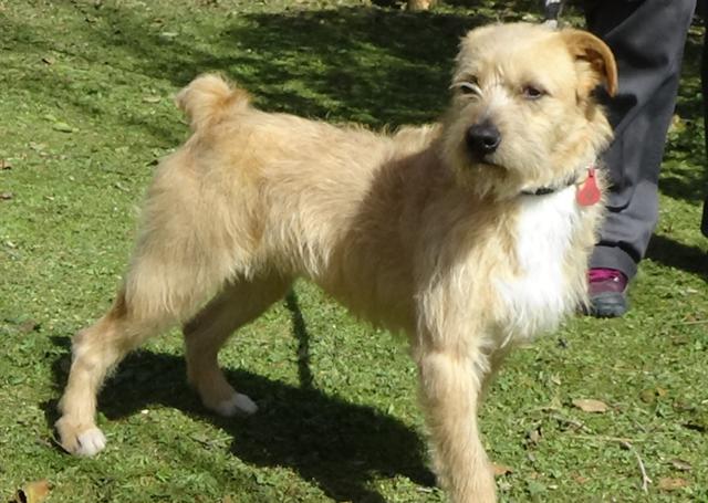 multimedia-foto44802-134-3