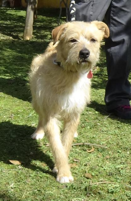 multimedia-foto44803-135-3