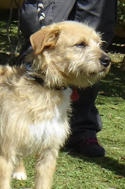 multimedia-foto44804-135-3