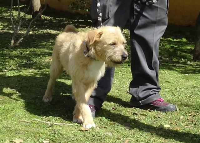 multimedia-foto44806-151-3