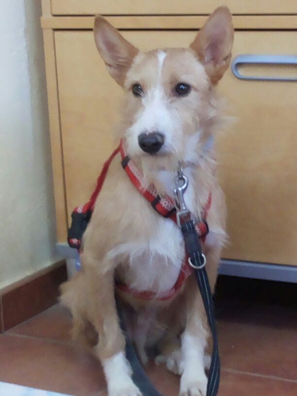 multimedia-foto44812-133-3