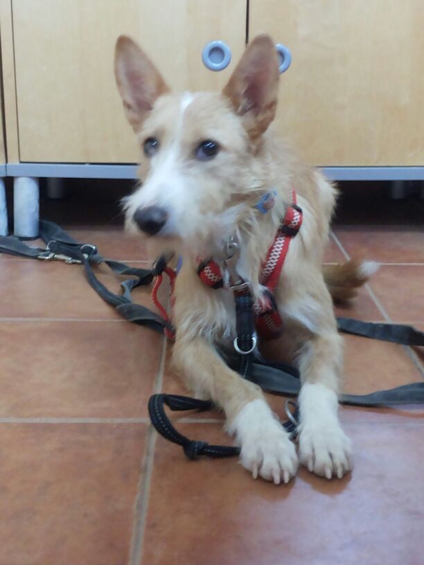 multimedia-foto44813-133-3