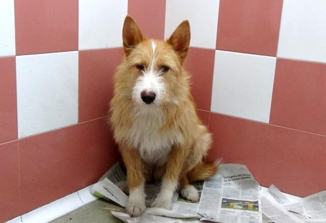 multimedia-foto44814-134-3