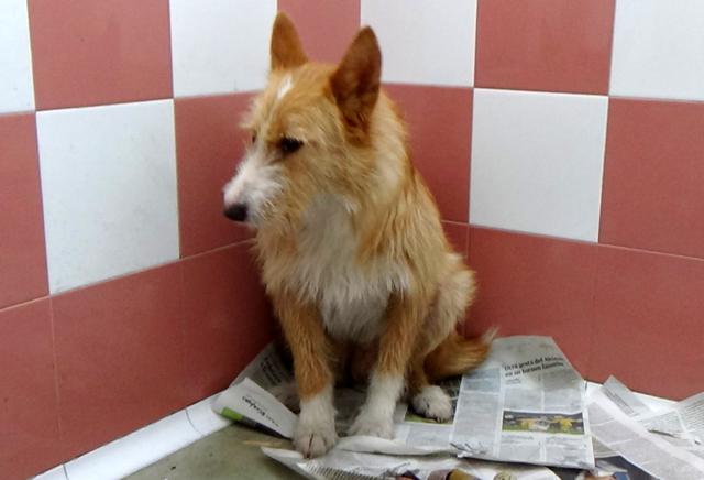 multimedia-foto44815-134-3