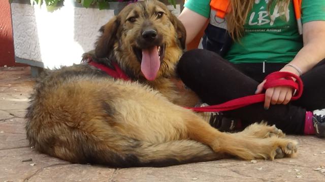 multimedia-foto44817-368-3