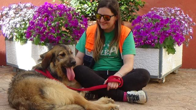 multimedia-foto44818-369-3