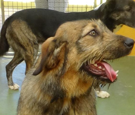 multimedia-foto44819-369-3