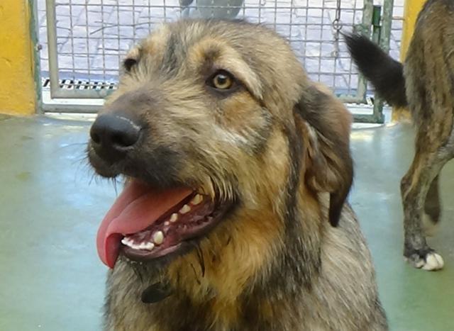 multimedia-foto44820-369-3