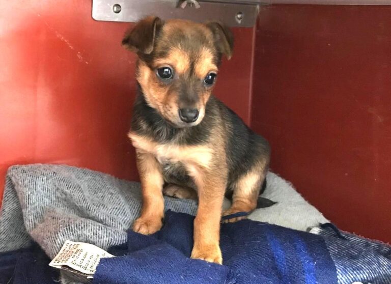 multimedia-foto44864-93-3