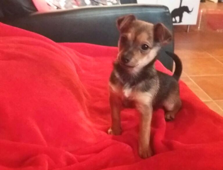 multimedia-foto44865-93-3