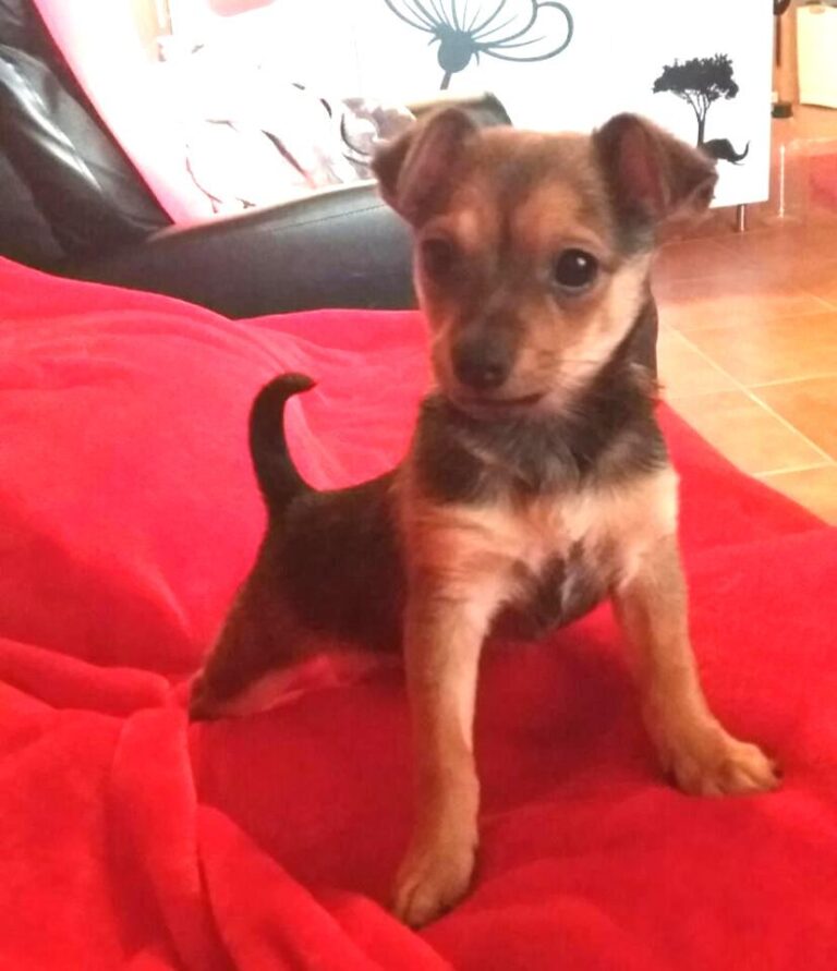 multimedia-foto44866-94-3