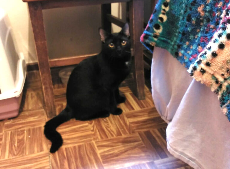 multimedia-foto44869-73-3