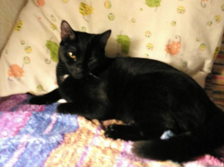 multimedia-foto44870-75-3