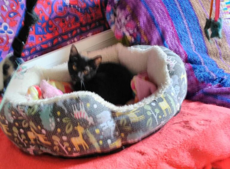 multimedia-foto44871-75-3