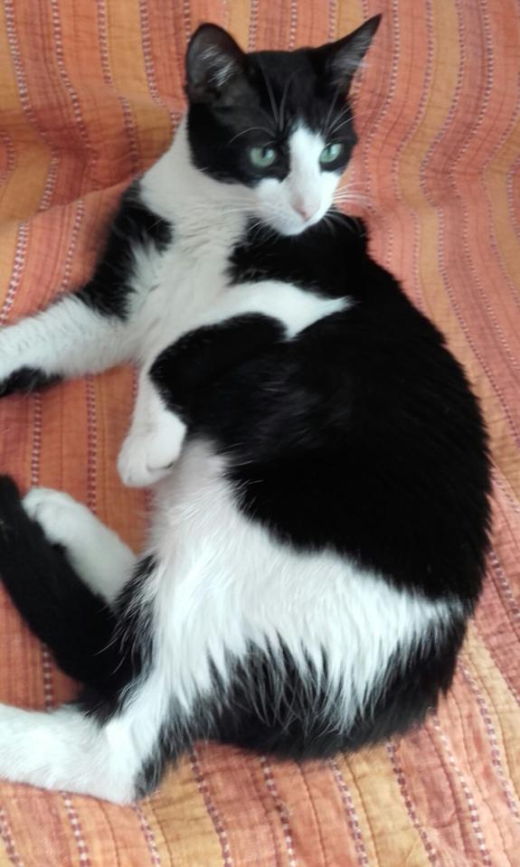 multimedia-foto44876-455-3