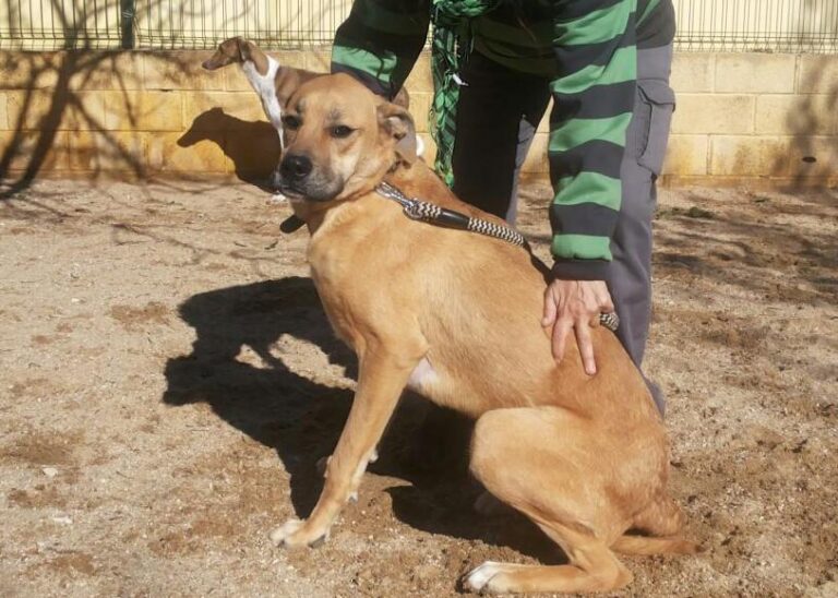 multimedia-foto44877-152-3