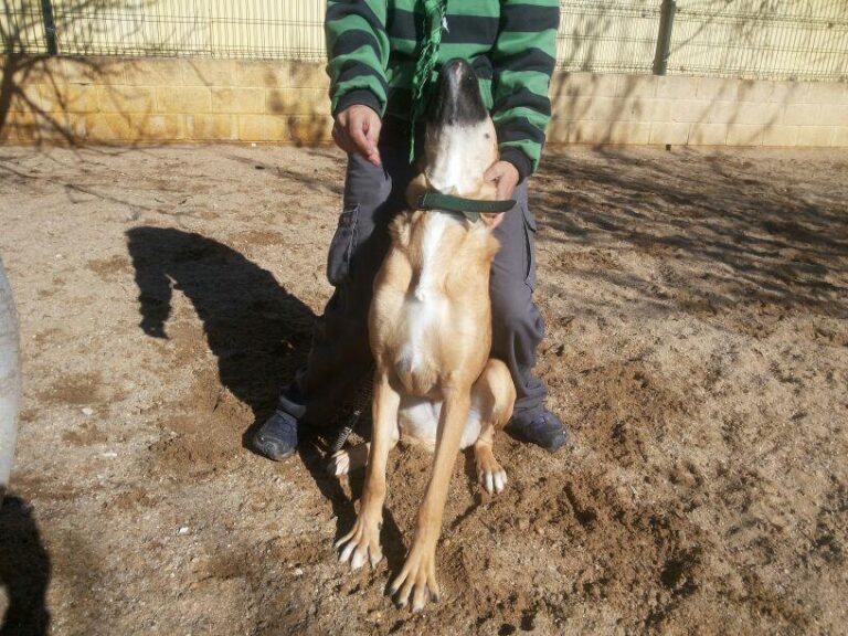 multimedia-foto44879-154-3