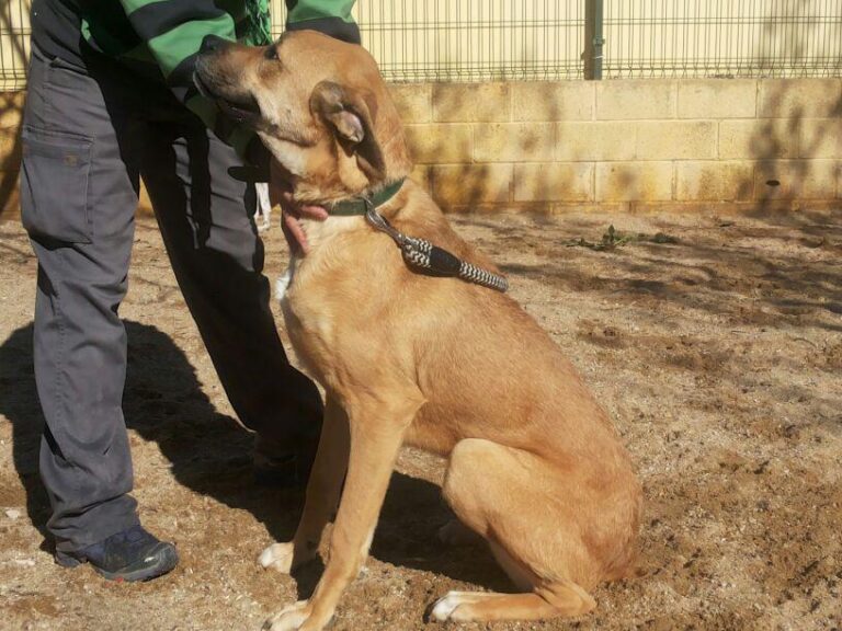 multimedia-foto44880-154-3