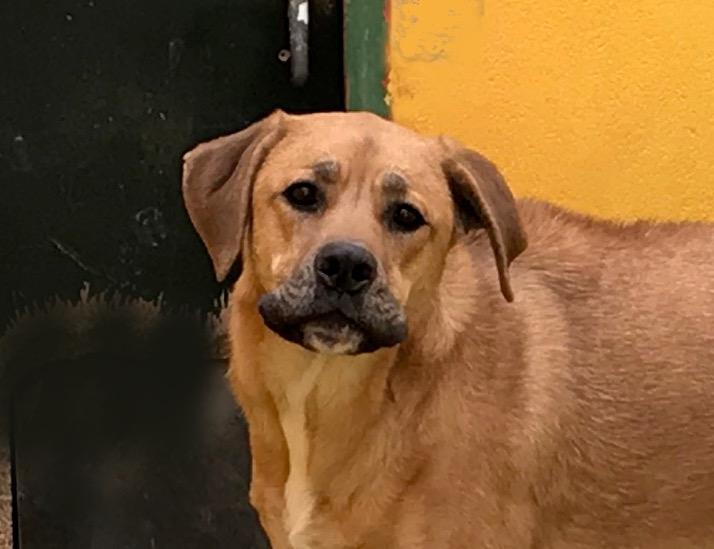 multimedia-foto44881-175-3