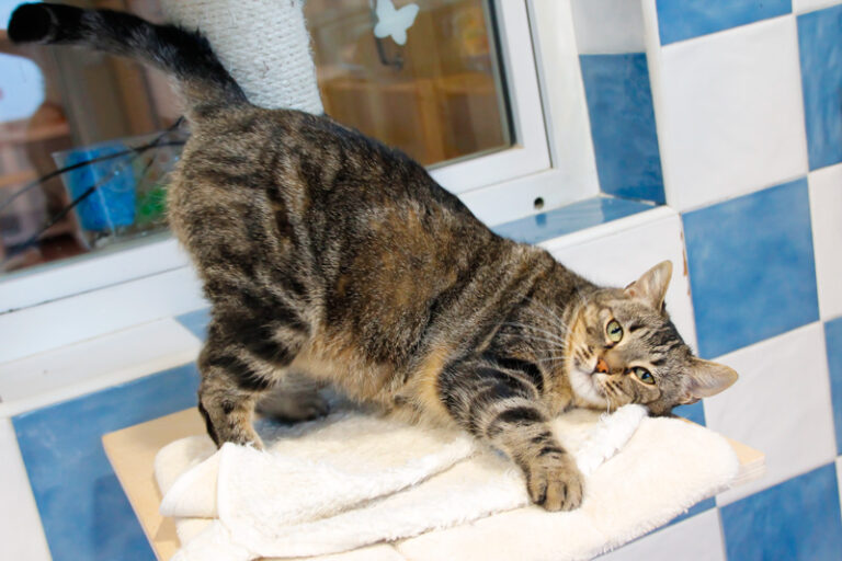 multimedia-foto44888-256-3