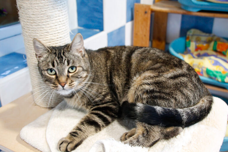 multimedia-foto44890-275-3