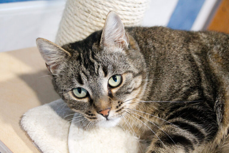 multimedia-foto44891-276-3