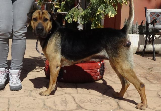 multimedia-foto44892-919-3