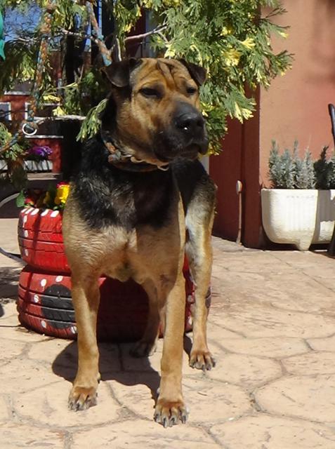 multimedia-foto44893-919-3