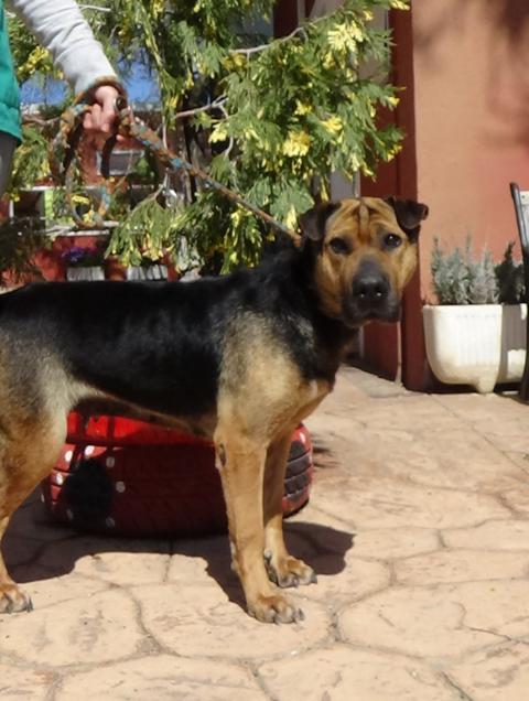 multimedia-foto44894-920-3