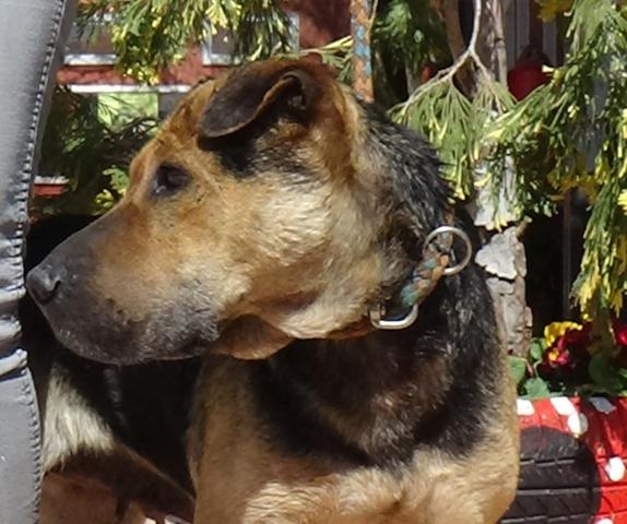 multimedia-foto44896-946-3