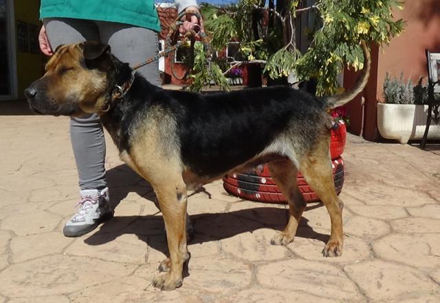 multimedia-foto44897-947-3